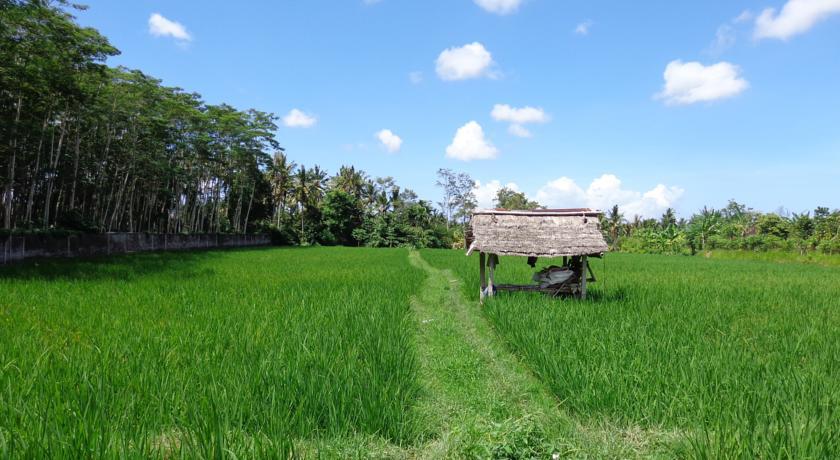 Angel House Ubud Exterior foto